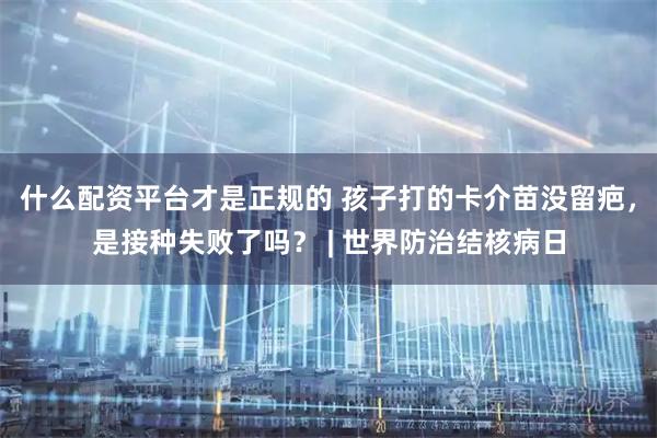 什么配资平台才是正规的 孩子打的卡介苗没留疤，是接种失败了吗？ | 世界防治结核病日