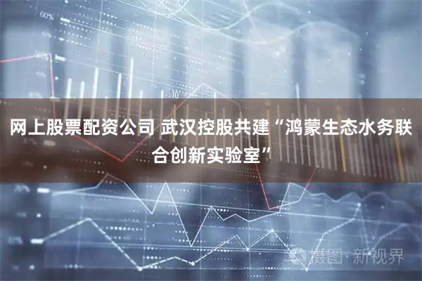 网上股票配资公司 武汉控股共建“鸿蒙生态水务联合创新实验室”